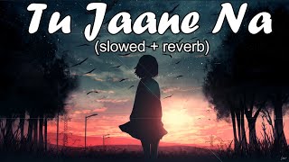 Tu Jaane Na [Slowed+Reverb]- Atif Aslam ||| Heal Up Vibe