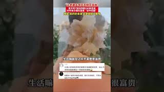 男子花7年時間用200種鮮花，將10平米小院打造成“空中花園”，網友：好浪漫 這是嫁給了愛情！