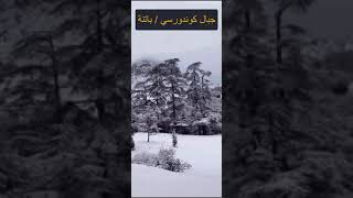 تساقط قوي للثلوج في باتنة - تساقط الثلوج في الجزائر 2023 chute de neige algerie 2023 #short