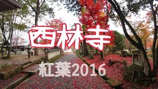 紅葉　西林寺　西脇市