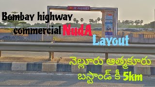 Commercial nuda layout Bombay main road facing nellore corporation limits plots size 23 or 55 ank