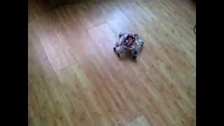 Simple 12DOF Hexapod Robot - 2 DOF per leg