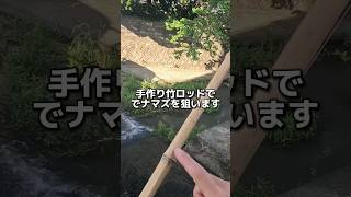 手作り竹ロッドでナマズ釣り🎋Handmade Bamboo Rod#釣り #fishing #fish #ナマズ #ナマズ釣り #catfish #多魚種アングラー