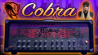 METALCORE DREAM AMP! - Framus Cobra - Amplifier Demo