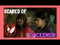 Elehiya: BLOOPERS?! // Scared Of Chicken | Taki Saito