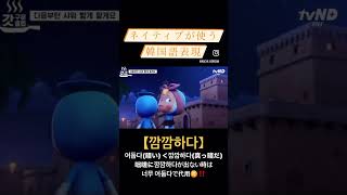 ネイティブが使う韓国語表現