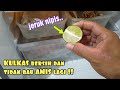 KENAPA TIDAK DARI DULU !! Cara membersih dan menghilangkan bau tidak sedap di KULKAS