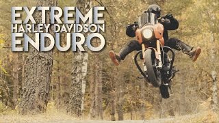 Crazy HD-Enduro | 320kg heavy Harley Davidson in forest | 4K