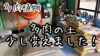 【多肉植物】土をちょっこっとバージョンアップ！