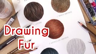 5 METHODS TO DRAW REALISTIC FUR! Coloured Pencil Drawing Tutorial- Episode 4