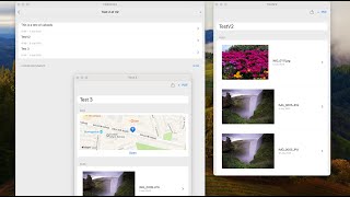 Swift Scene Delegate multiple window support