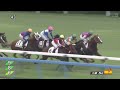 【2歳新馬 カルチャーデイ】メイクデビュー小倉［2023.9.2 小倉第5r 1200m 芝］