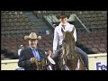 2011 aqha amateur reining world champion