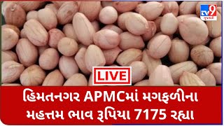 Mandi:હિમતનગર APMCમાં મગફળીના મહત્તમ ભાવ રૂપિયા 7175 રહ્યા | Tv9News