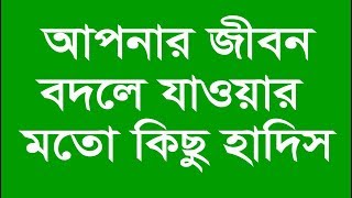 Bangla Hadis | বাংলা হাদিস | Shantir Poth | শান্তির পথ