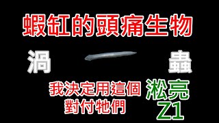 輕鬆除渦蟲 | 藍絲絨被渦蟲攻擊而減少嗎? | 淞亮 Z1 (上) | SL AQUA Aquarium Bio Protector clean planarian and hydra quickly