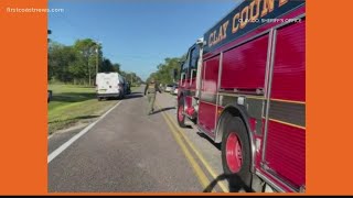 Dozens of animals rescued from 'deplorable conditions,' sheriff's office says