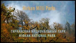 Hirkan milli parkı