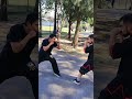 Chang Quan applications #martialarts #kungfuwushu #fight #mma