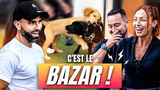 2 Chiots, 1 Chat : À L'AIDE ! 😱 ft. @LatelierdeRoxane