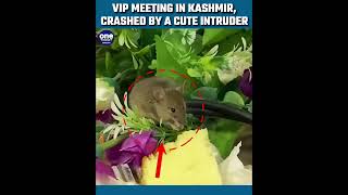 Viral video of a VIP meeting crashed by a cute invaders goes viral | Oneindia News