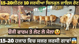 15-20ਲੀਟਰ ਵਾਲੀਆ 10 ਜਰਸੀ ਵੈੜਆ ਵੀਕਾਓ। jarsey cow for sale/vadiya farm/16-7-23