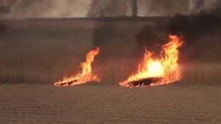 2013年の渡良瀬遊水地のヨシ焼き（野焼き）：Controlled burn in Japan @ Watarase-Yusuichi Kanto Area