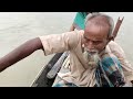 চিত্রা নদীতে জেলেরা কীভাবে ইলিশ মাছ ধরে catching hilsa fish hilsa fishing technique