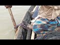 চিত্রা নদীতে জেলেরা কীভাবে ইলিশ মাছ ধরে catching hilsa fish hilsa fishing technique