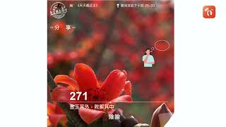 2022.04.15 《每日與主同行 3.0》👣　主題：金玉其外，敗絮其中