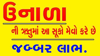 ઉનાળા ની ઋતુમાં આ સૂકો મેવો કરે છે જબ્બર લાભ.