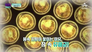 [예고] 비만 탈출의 열쇠, 장에 있다?! | TV 주치의 닥터 지.바.고 297 회