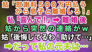 【スカッとする話】義母「慰謝料500万円払うから息子と離婚しろ！」私「喜んで〜！」→離婚後に義母から突然の連絡…義母「後悔してるわ！助けてちょうだいw」→だって元夫は…