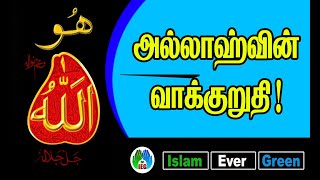 அல்லாஹ்வின்  வாக்குறுதி  | | allahu allahu  | | tamil bayan  | tamil new bayan ☝️ | isalm ever green