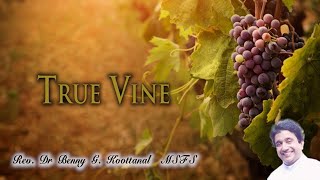 5th Sunday of Easter - TRUE VINE - by Rev. Dr. Benny Grigoriose Koottanal MSFS