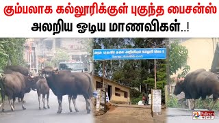 கும்பலாக கல்லூரிக்குள் புகுந்த பைசன்ஸ்.. அலறிய ஓடிய மாணவிகள்..!!