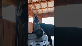 Learning How To Weight Lift Week2