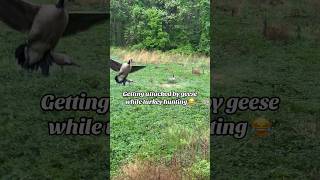 Just out here being attacked by geese while turkey hunting 😂 #hunting #turkey #geese #outdoors