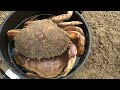 crab fishing at dillon beach