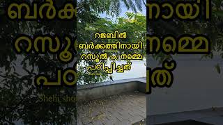 റജബിൽ ബർക്കത്തിനായി റസൂൽ (SA) നമ്മെ പഠിപ്പിച്ചത് #islamicshorts #shorts #youtubeshorts #viralshorts