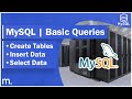 Create Tables, Insert & Select Data - MySQL Tutorial #2