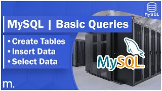Create Tables, Insert & Select Data - MySQL Tutorial #2