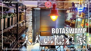 Botaswamp　日本トップレベルのチタノタコレクターの植物部屋を大公開！　No.64