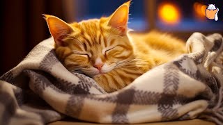 24/7 LIVE Relaxing Piano for Anxious cats | Stress-relief | Cat Music | Sleepy Cat