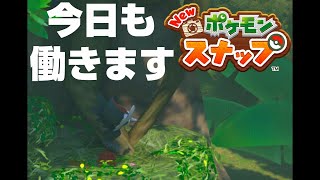 【New ポケモンスナップ リクエスト攻略】\