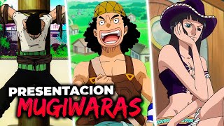 Así se unió CADA MUGIWARA a la TRIPULACION de LUFFY en ONE PIECE