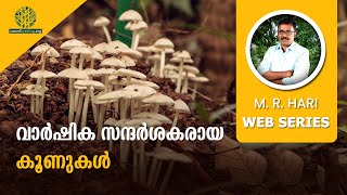 വാർഷിക സന്ദർശകരായ കൂണുകൾ | ANNUAL APPEARANCE OF MUSHROOMS SINCE 2017 @PULIYARAKONAM MIYAWAKI FOREST