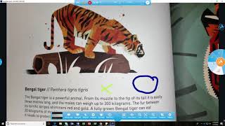 Flex 11 Annotation and Camera Options
