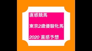 【直感競馬】東京2歳優駿牝馬 2020 直感予想