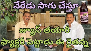 నేరేడు సాగు చేస్తూ జ్యూస్ తయారు చేస్తున్నా | Process of Jamun juice | Jamun Farming |